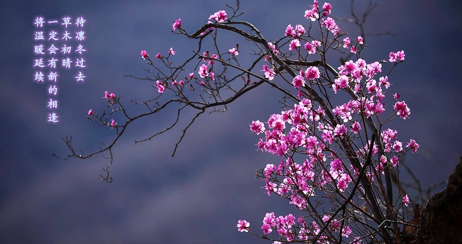 凯时尊龙人生就是博·Z6(中国)首页官网