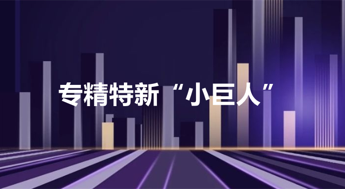凯时尊龙人生就是博·Z6(中国)首页官网